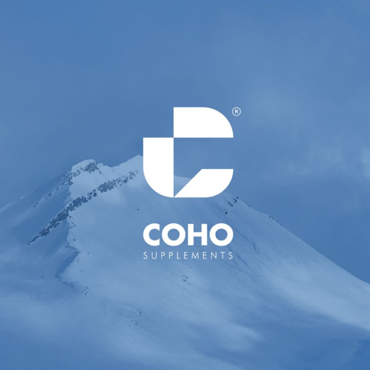 Revitalizing Coho’s Brand Identity - Aimstyle portfolio project